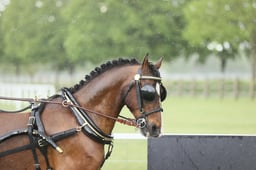 E28_2960 2026