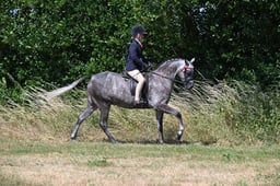 S60_0741 2026