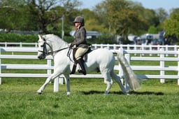 H19_2262 2026