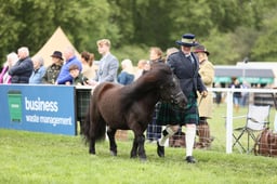 E29_0845 2026