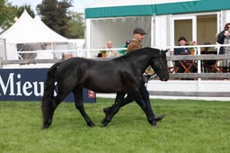 W29_0574 2026