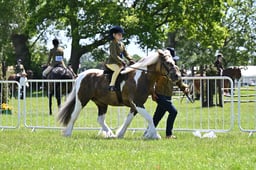 H183-180 TSR AMATEUR CHAMPIONSHIP