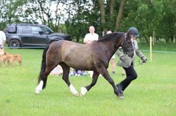 J36_6619 2026