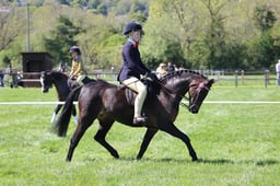 C19_1549 2026