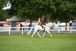 CLH13 Ridden Welsh B