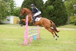 470 DASSETT PRIDE