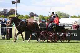 E28_3345 2026