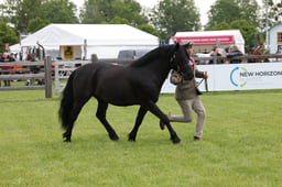 W29_0648 2026