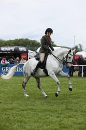 E30_4086 2026