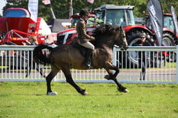 W33_0728 2026