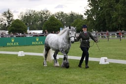 W29_0870 2026