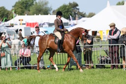 C33_0955 2026