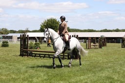H234 SFAS Working Horse