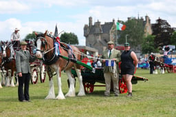 H47_1894 2026