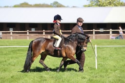 82 HOYS M&M Lead Rein