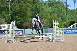 129 SYLVIE