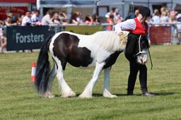 Z68_0196 2026