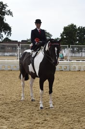 120 Ladies Side Saddle