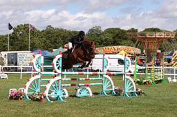 H304 Senior 1.15m