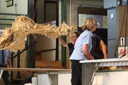 C68_3427 2026