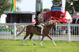 W33_0645 2026
