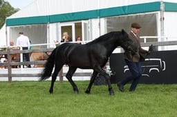 W29_0481 2026