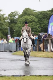 E44_3581 2026