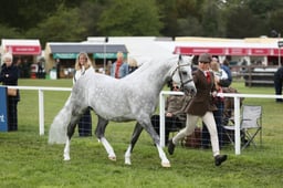 E29_0379 2026