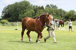 E36_1053 2026
