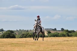 C57_0955 2026