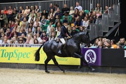 Show Hunter Pony of the Year Championships