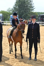A65_2796 2026