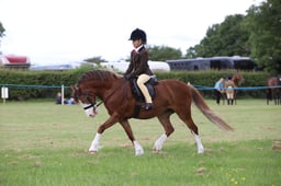 W36_0599 2026