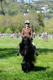 M19_0438 2026