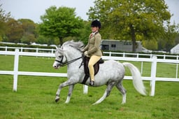 64 M&M Open Ridden Welsh A & B