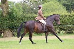 M36_1678 2026