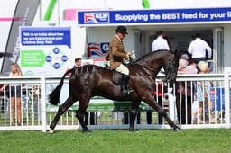 28-26 Ridden Hunter Championships