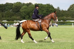 E36_2300 2026