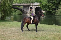 L31_1745 2026
