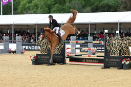 H29_3099 2026
