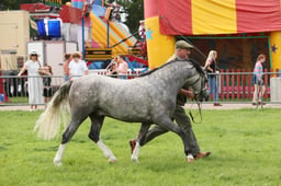 E34_3060 2026