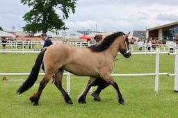 C44_0526 2026