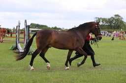 J36_7606 2026
