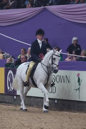 Supreme Pony of the Year Championships