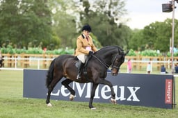 E30_3503 2026