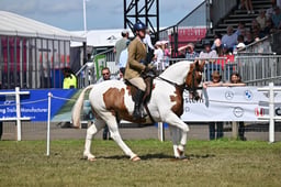 A47_2585 2026