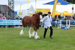 F44_0344 2026