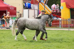 E34_2967 2026