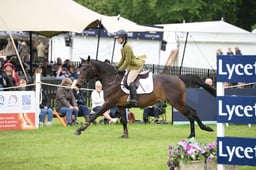 T38_2110 2026