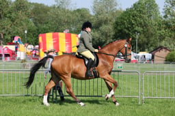 C33_0643 2026